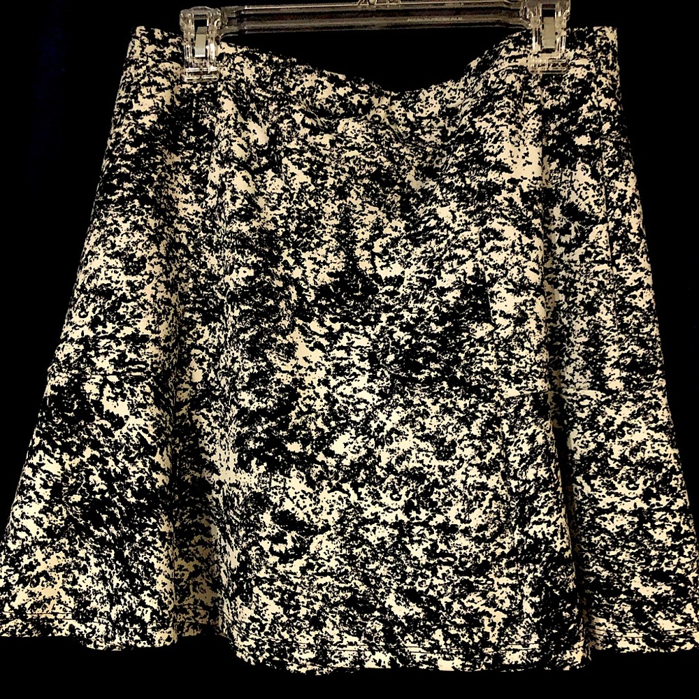 Black & White skater skirt